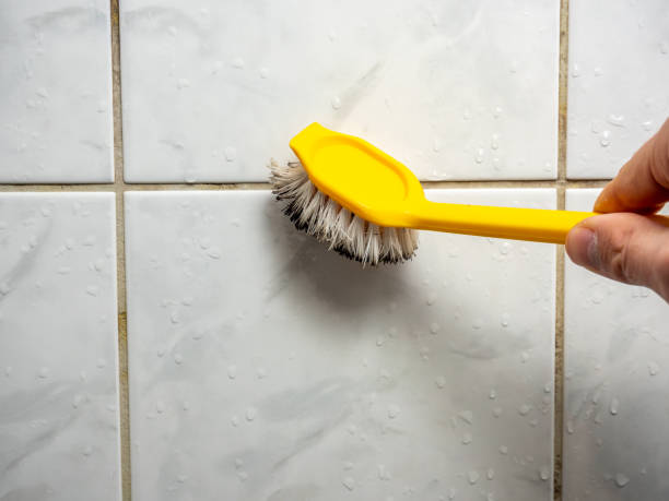 Best Local Mold Removal Service  in Lake Monticello, VA