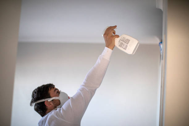 Best Crawl Space Mold Removal  in Lake Monticello, VA